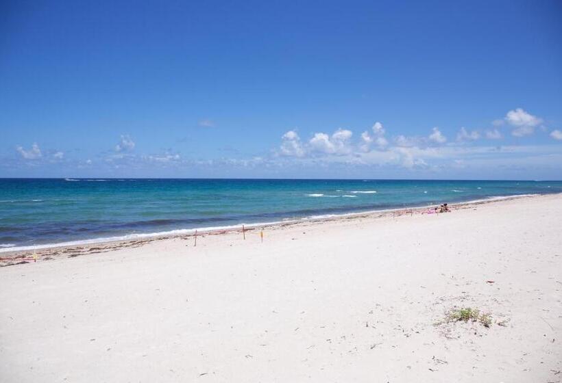 منتجع Royal Flamingo Villas