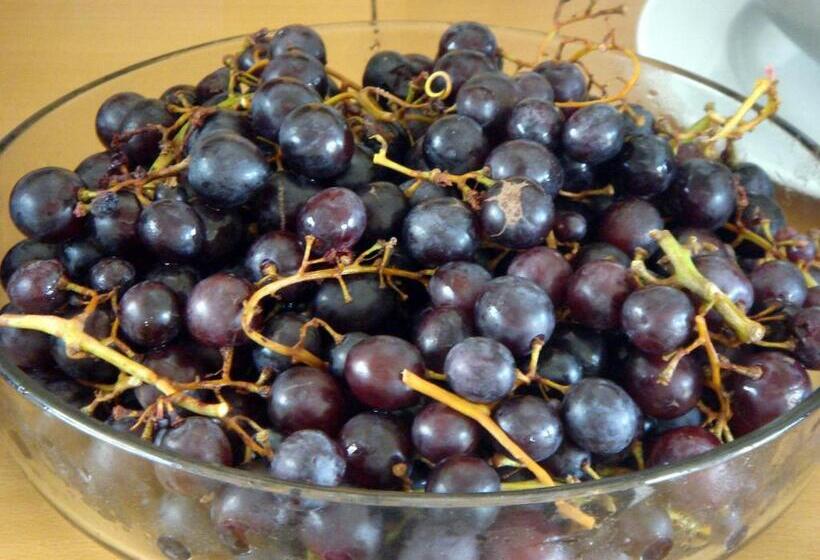 فندق Filoxenia Apartments