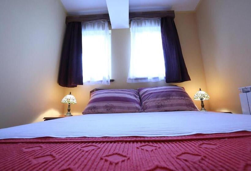 هتل Apartments & Rooms Vienna