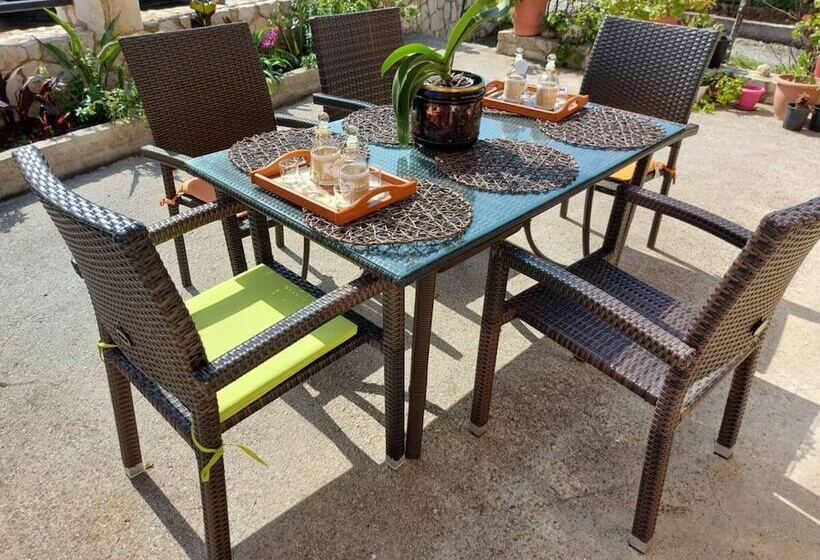 Socrate S Apartment S With Share Pool