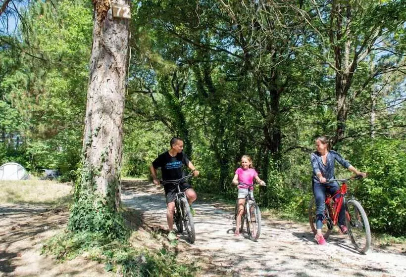 ホテル Camping Le Luberon