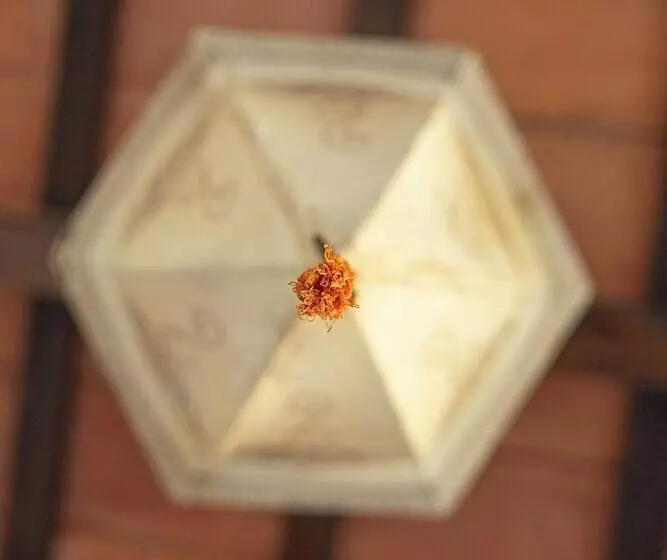 Hotelli Loma Puskana   Hostería