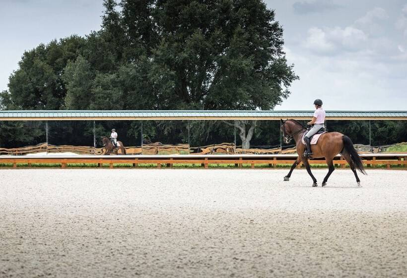 Idyllic Anthony Home: Riding Arena W/ Mirror Wall!