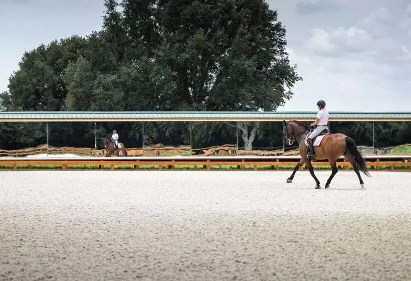 Idyllic Anthony Home: Riding Arena W/ Mirror Wall!