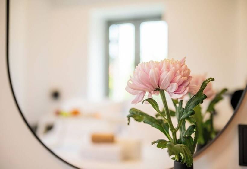 ペンション Cardamilia Suites