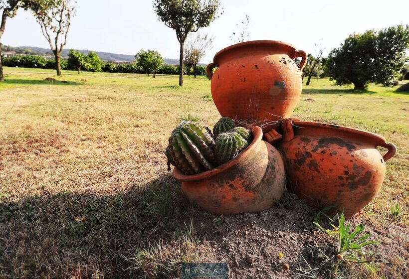 膳宿费 Mystay   Refúgio Da Natureza