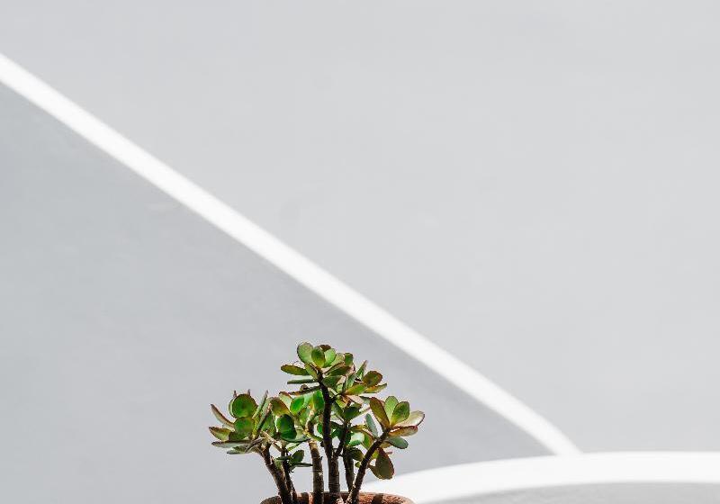 Santorini Style Rooms