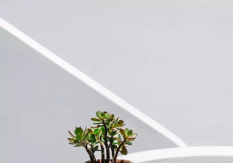 Santorini Style Rooms