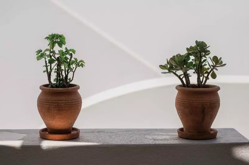 Santorini Style Rooms