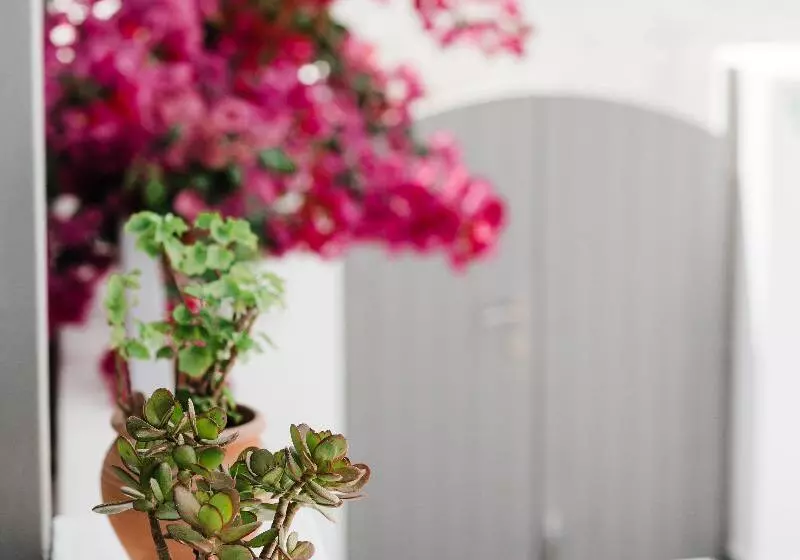 Santorini Style Rooms