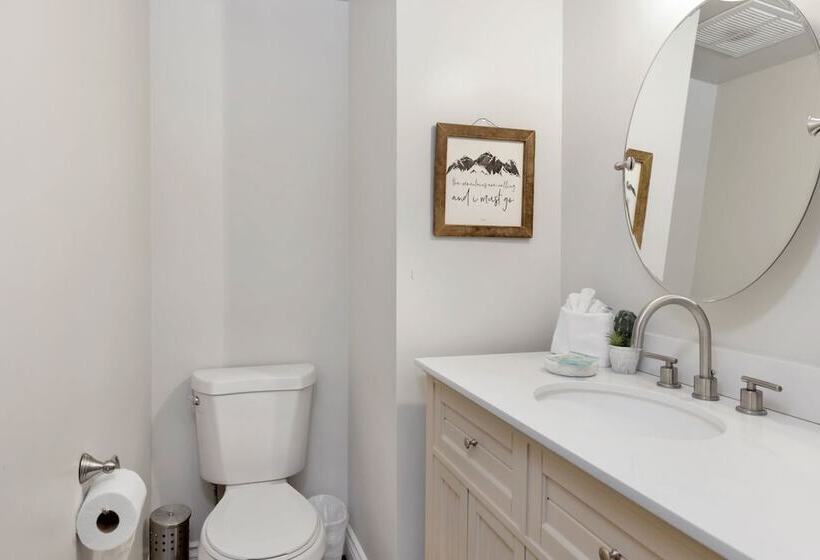 Splash Mountain #1904