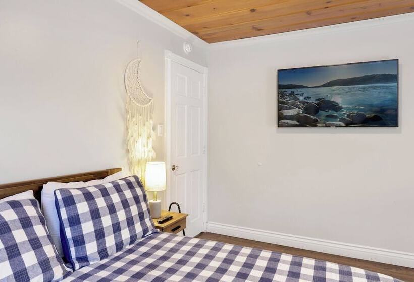 Splash Mountain #1904