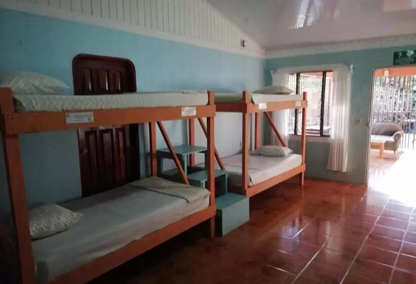 Corcovado Wild Hostel