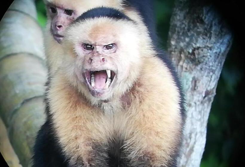 Corcovado Wild Hostel