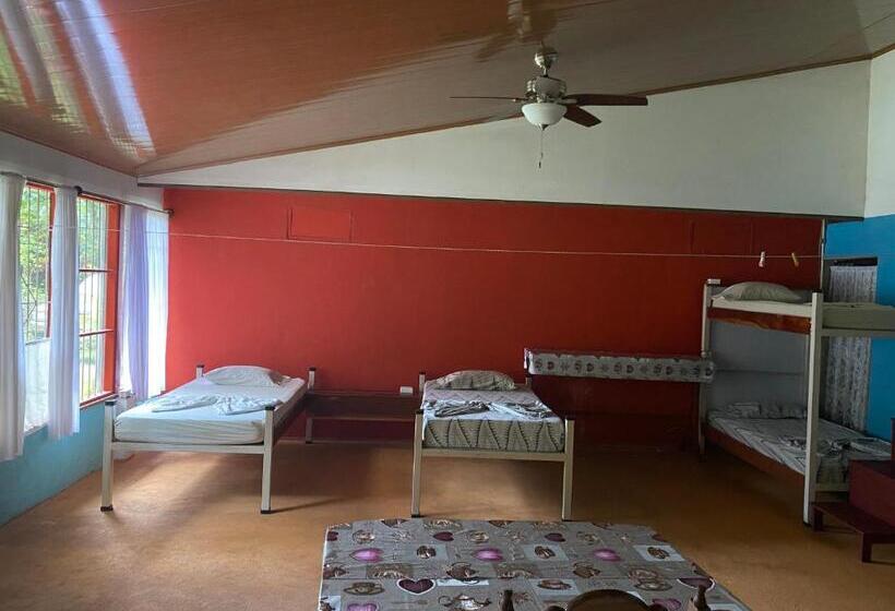 Corcovado Wild Hostel