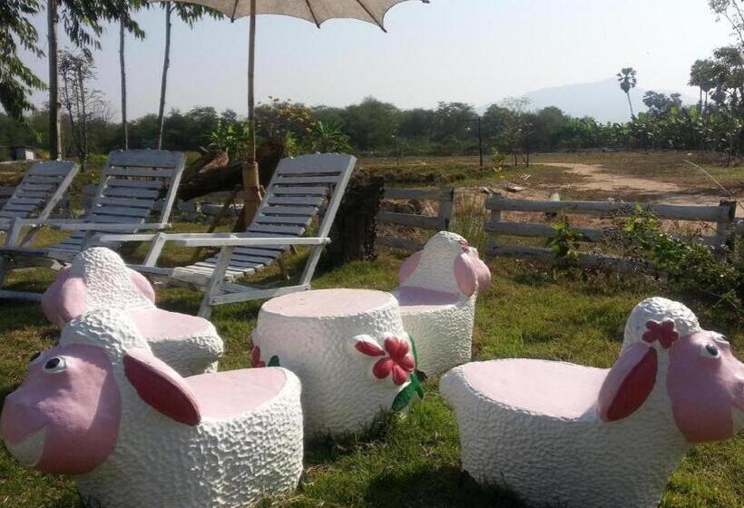 酒店 Banrai Chernma Resort