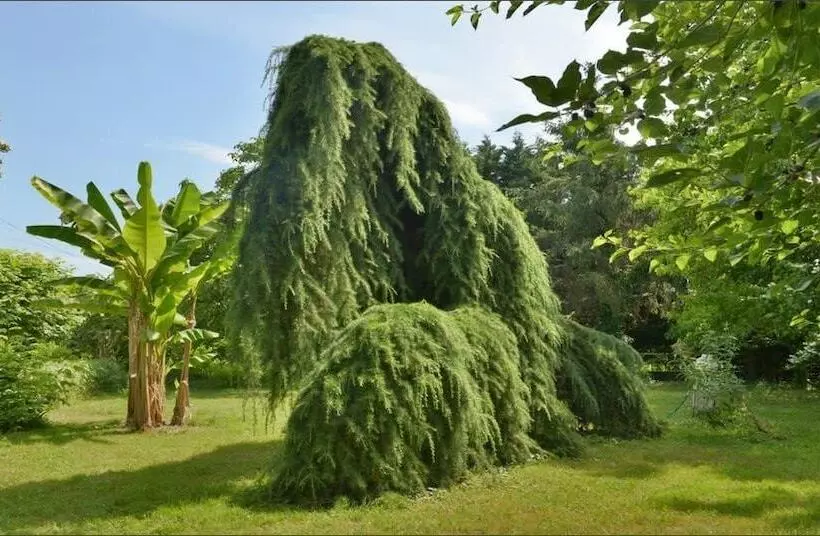 ペンション Gîte Domaine Les Massiots