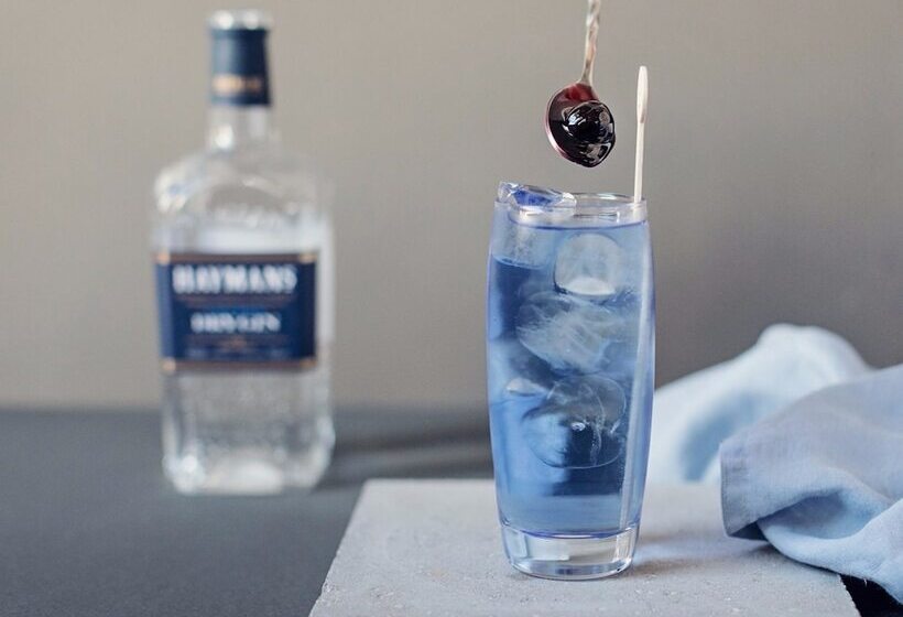 פנסיון Virginia House