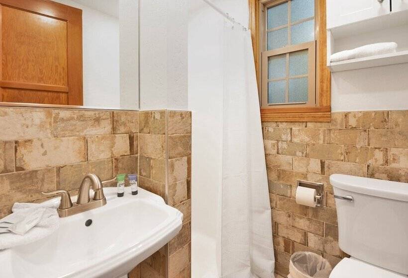 Silvertip Pines #2335