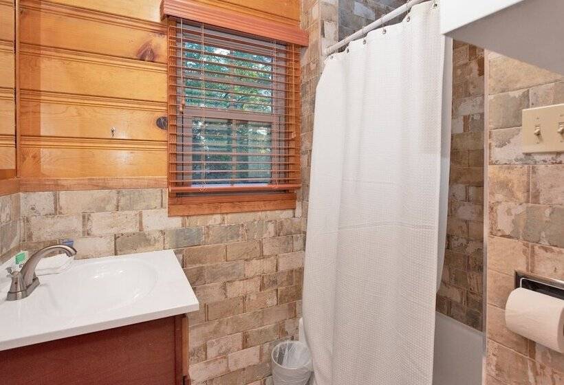 Silvertip Pines #2335