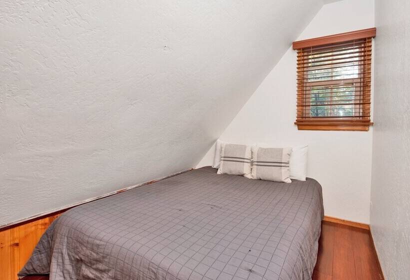 Silvertip Pines #2335