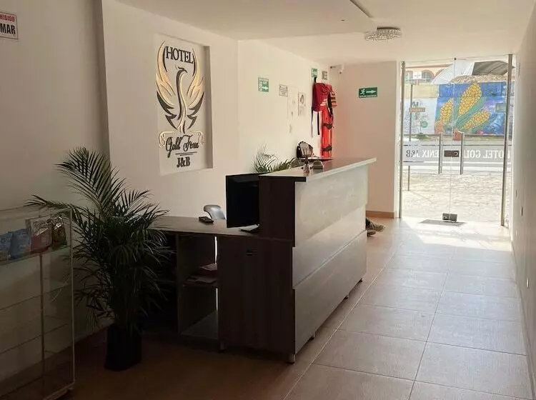 ホテル Gold Fénix J&b