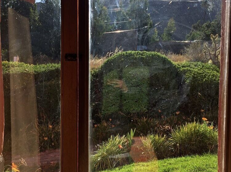 هتل La Casa De Mamayacchi