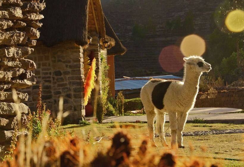 هتل La Casa De Mamayacchi