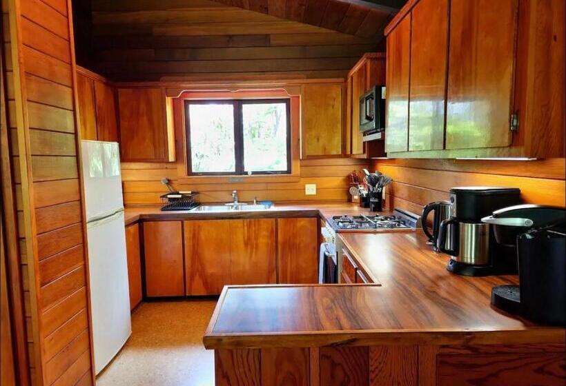 ユースホステル The Pacifica Inn