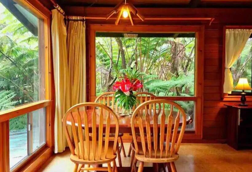 ユースホステル The Pacifica Inn