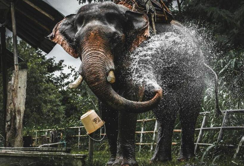 فندق Banaunirukchiangrai