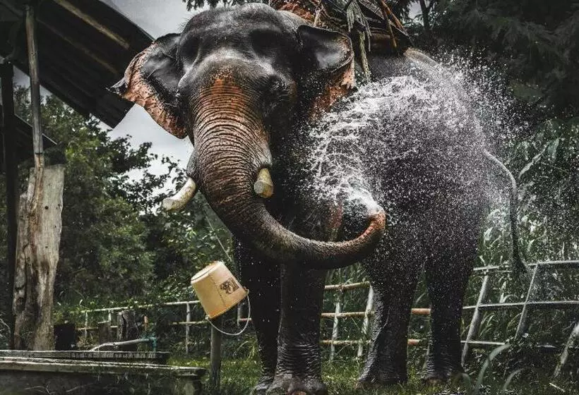 Hotelli Banaunirukchiangrai