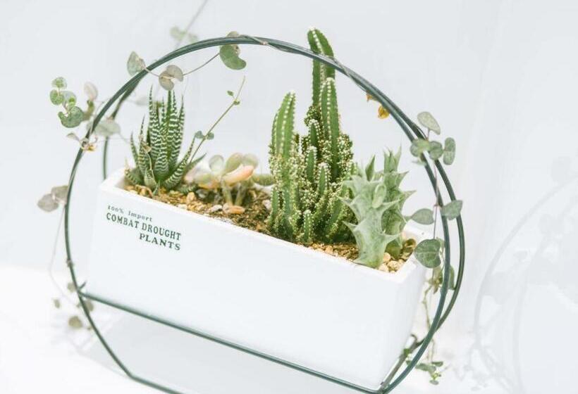 酒店 Xana Lite·west Luohe High Speed railway Station