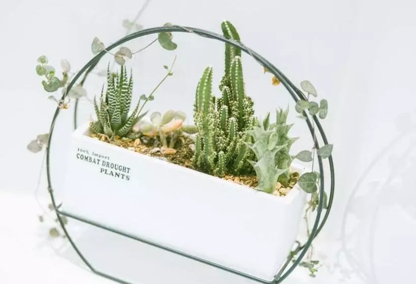 Hotelli Xana Lite·west Luohe High Speed ​​railway Station