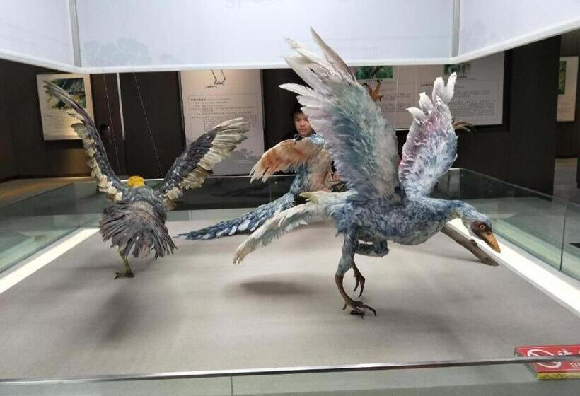 Pai Hotels·linxia Center Plaza