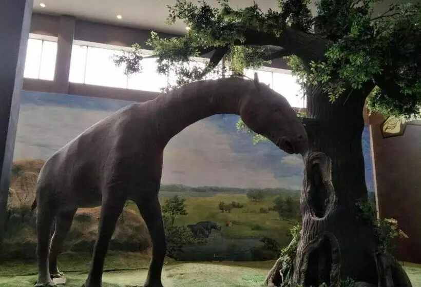 Pai Hotels·linxia Center Plaza