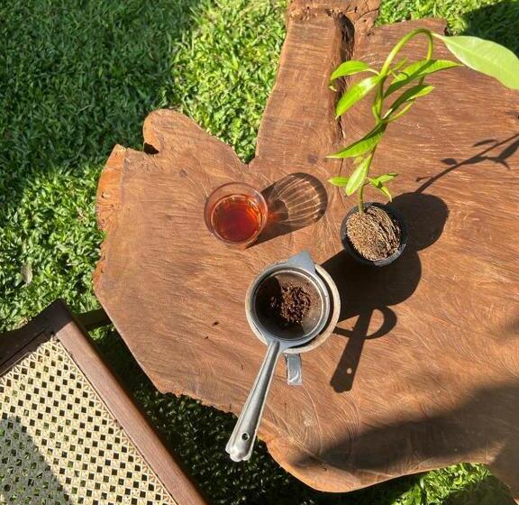 Hostel Aurora Weligama