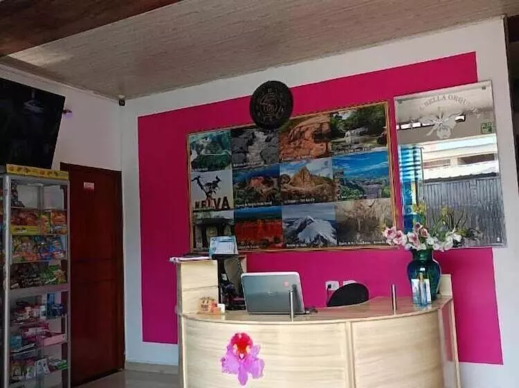 هتل Bella Orquidea