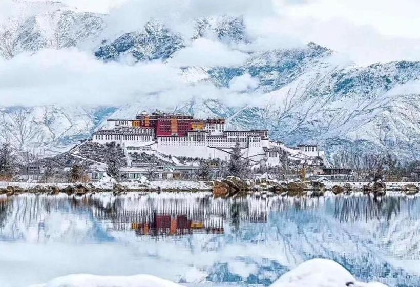 בית מלון כפרי Honey Bee Hub