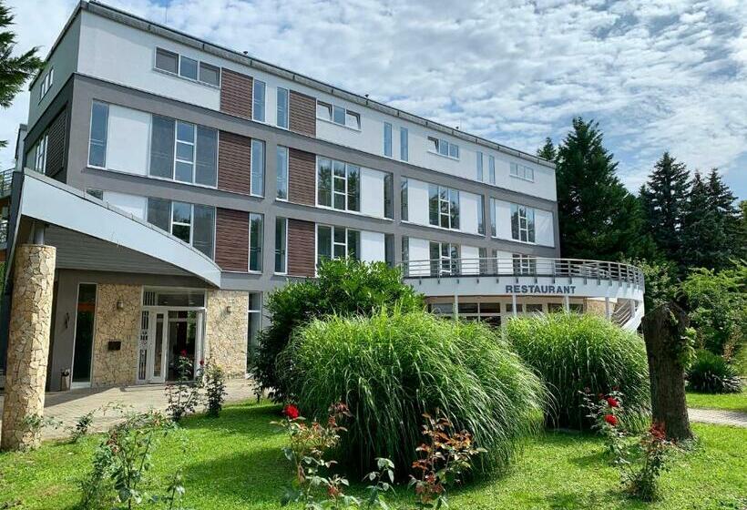 בית מלון כפרי Well