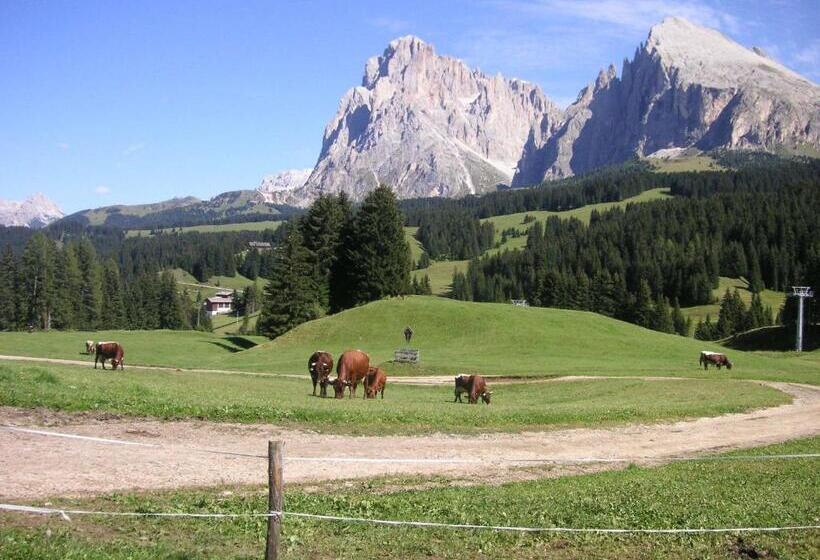 בית מלון כפרי Flora