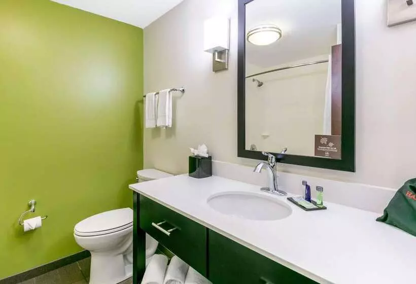 ホテル Sleep Inn & Suites
