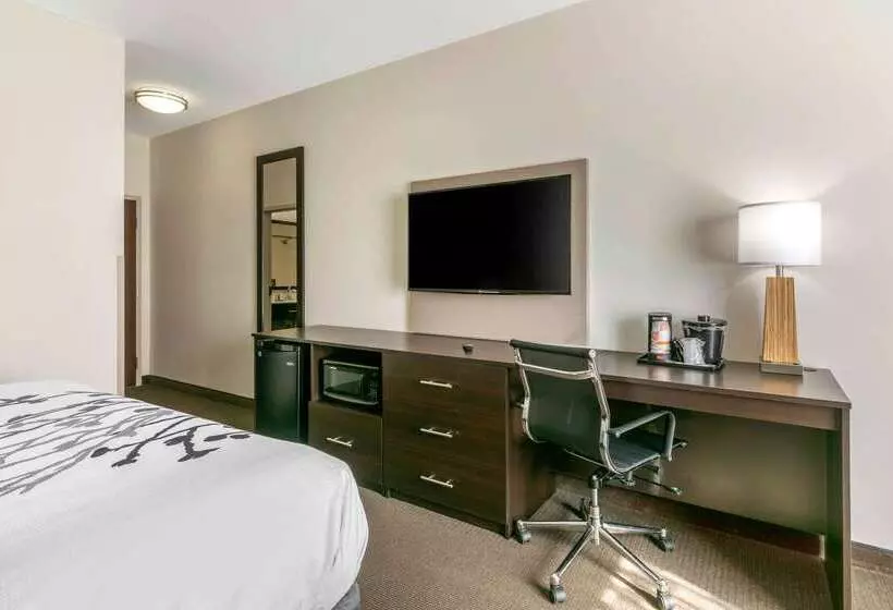 ホテル Sleep Inn & Suites