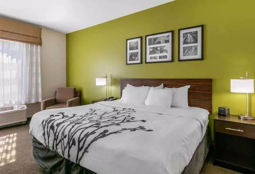 ホテル Sleep Inn & Suites