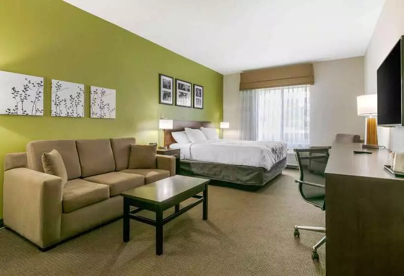 ホテル Sleep Inn & Suites