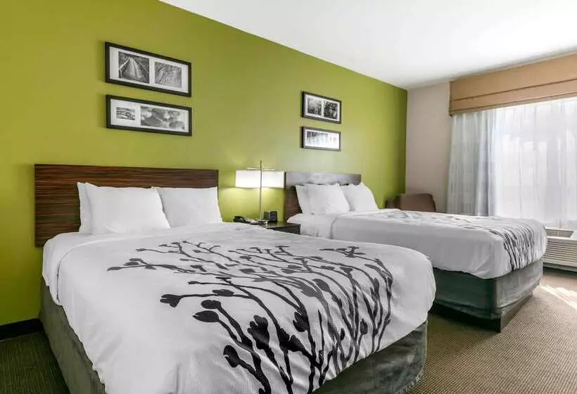 ホテル Sleep Inn & Suites