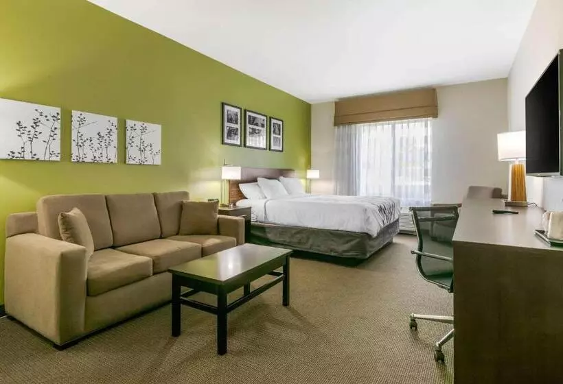 ホテル Sleep Inn & Suites