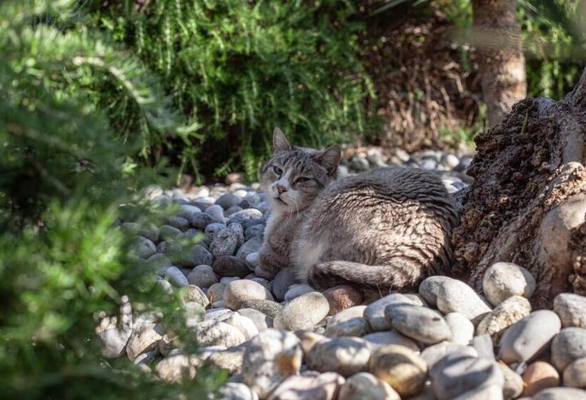 Residence Hotel Maxi