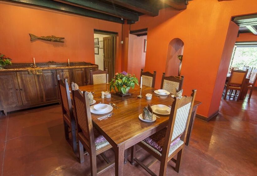 호텔 Ngare Sero Mountain Lodge