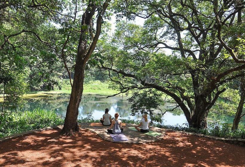 호텔 Ngare Sero Mountain Lodge